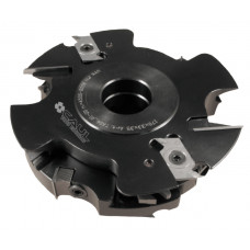 Kastdeur frees TA. 06.01 DX
